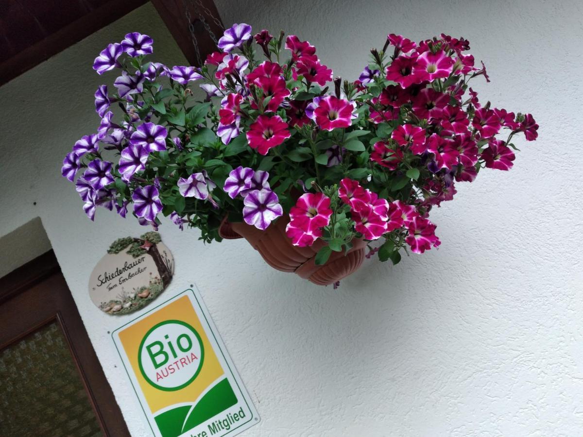 Apartamento Bio-Bauernhof Schiederhof Fusch an der Grossglocknerstrasse Exterior foto